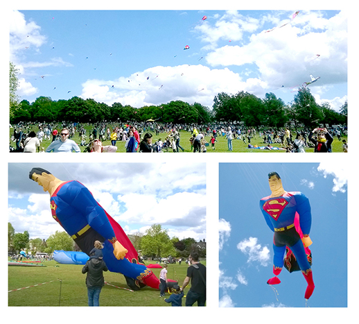 Streatham Kite Day 14 May 2017