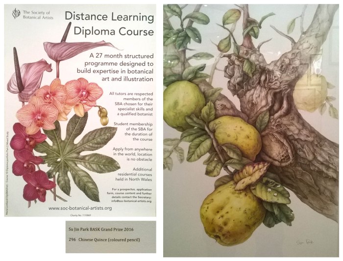 SBA Distance Learning